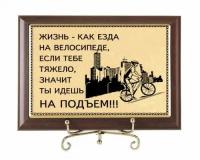 Плакетка подарочная Жизнь - как езда на велосипеде...(субл)