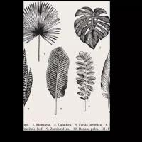 Модульная картина Picsis Гербарий из экзотических растений (20x30)