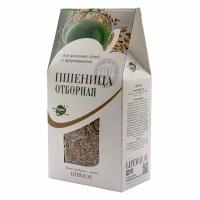 Пшеница для проращивания (wheat) LifeWay | Образ жизни 500г