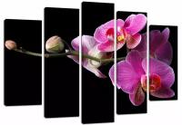 Модульная картина Орхидея Фаленопсис (Материал: Натуральный холст, Размер: 160х90 см.)