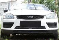 Защитная сетка решетки радиатора Ford Focus 2 дорестайл (2005-2008) | шагрень