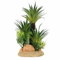 Растение для аквариумов Sago Palm M AQUA DELLA KSZOO-234/448816