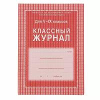 Классный журнал для 5-9 классов А4, 168 страниц, твердая ламинированная обложка, блок офсет 65г/м2