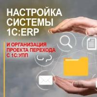 Видеокурс настройка системы 1С:ERP И организация проекта перехода С 1С:УПП