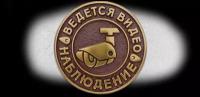Табличка «Ведётся видеонаблюдение» ВН-1 Латунь (сред)