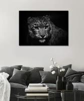 Картина - Ирбис, снежный барс, слежный леопард, хищник, ирбис черно-белый (14) 30х40