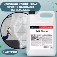 Моющий очиститель концентрат для мойки фасадов зданий Salt Stone 5 л, против высолов на поверхностях