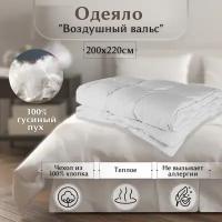Одеяло теплое кассетное Воздушный вальс 200х220 см