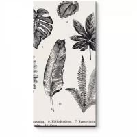 Модульная картина Picsis Гербарий из экзотических растений (20x40)