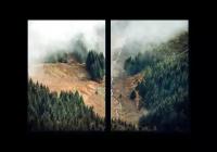 Модульная картина на холсте | Diva Kartina | Природа. Горы и лес | 84X60 см