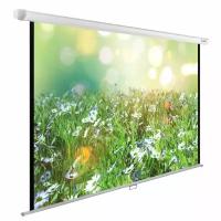 Экран CACTUS 200x200см WallExpert CS-PSWE-200x200-WT 1:1 настенно-потолочный рулонный