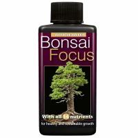 Bonsai Focus 100мл