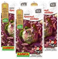 Комплект семян Салат Красный айсберг - Мир высокого урожая х 3 шт