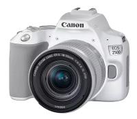 Зеркальный фотоаппарат Canon EOS 250D Kit 18-55 IS STM, белый