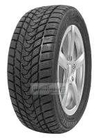 Шина Delinte Winter WD1 225/45 R17 94T