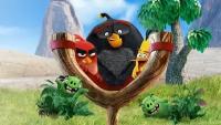 Деревянные пазлы для малышей Энгри Бердс, Angry Birds Бомб Детская Логика