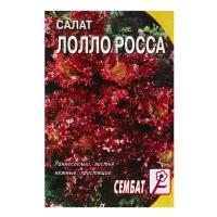 Семена Салат Лолло-росса, 0,5 г 66 упаковок