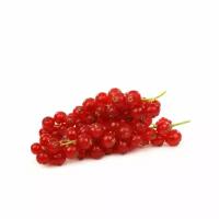 Смородина красная свежая ТМ Berry (Берри)