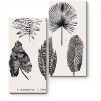 Модульная картина Picsis Гербарий из экзотических растений (40x50)