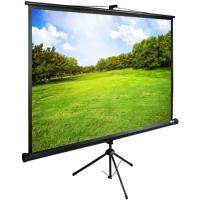 Экран Cactus 150x200см TriExpert CS-PSTE-200x150-BK 4:3 напольный рулонный черный