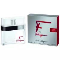 Salvatore Ferragamo F By Ferragamo Pour Homme туалетная вода 100 мл для мужчин