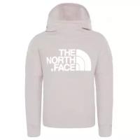 Толстовка The North Face