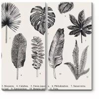 Модульная картина Picsis Гербарий из экзотических растений (40x40)