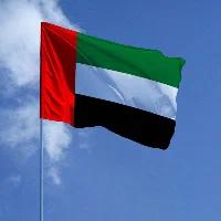 Флаг Объединенных Арабских Эмиратов (ОАЭ) 90х135 см