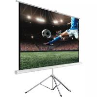 Экран для видеопроектора HIPER Cinema STP 4X3-120 (183x244см напольный)