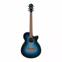 Ibanez AEG50-IBH Гитары акустические