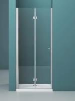 Душевая дверь BelBagno Albano BS-12 100