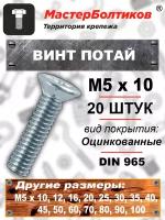 Винт потай 5 х10 оцинкованный DIN965 (20 штук)