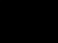 Ламинат Falquon Max Black глянец DU190 (5 уп./14.885 м2)