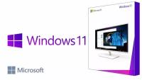 Windows 11 Pro BOX / Виндоус 11 Про (Коробочная версия)