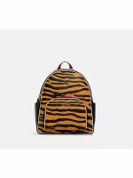 Рюкзак Coach черный с тигриным принтом и золотой фурнитурой Court Backpack With Tiger Print C6987