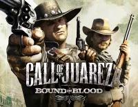 Call of Juarez: Bound in Blood для Windows (электронный ключ)