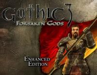 Gothic 3: Forsaken Gods Enhanced Edition электронный ключ PC Steam