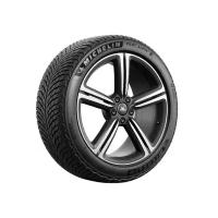 Автошина MICHELIN PILOT ALPIN 5 315/30 R21 105V