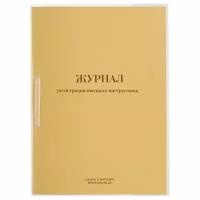 Журнал регистрации вводного инструктажа, 32 л, сшивка, плобма, обложка ПВХ Кадры в порядке
