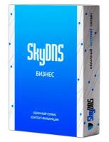Программное Обеспечение Skydns Бизнес. 10 лицензий на 1 год (SKY_BSN_10)