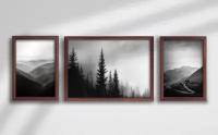 Картина модульная в раме Туманный лес ПРН-204 3шт