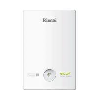 Котел газовый конденсационный Rinnai BR-C30 (CMF277)/LNG - 29,7 кВт (двухконтурный)