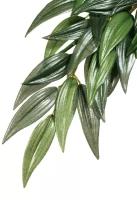Искусственное растение - Exo-Terra Rucus (Silk), Large
