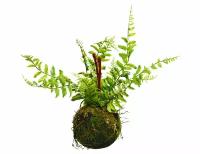 Искусственное растение подвесное папоротник - перистый, пластик, 35х28 см, Kaemingk 801091-2
