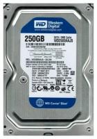 Жесткий диск Western Digital WD2500AAJS 250Gb SATAII 3,5