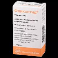 Фликсотид аэрозоль д/инг доз 50мкг/доз 120ДОЗ