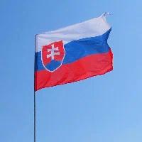 Флаг Словакии 90х135 см