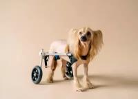 Инвалидная коляска (тележка) для животных. Размер S 2-5 кг
