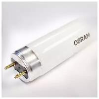 Лампы люминесцентные Osram/Ledvance Лампа люминесцентная Osram T8 L 36W/840 25X1 LF 4050300517872