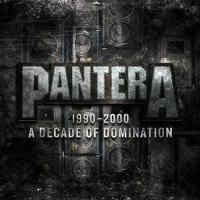 Виниловая пластинка WARNER MUSIC PANTERA - 1990-2000 - A Decade Of Domination (Limited Edition) (Coloured Vinyl) (2LP)